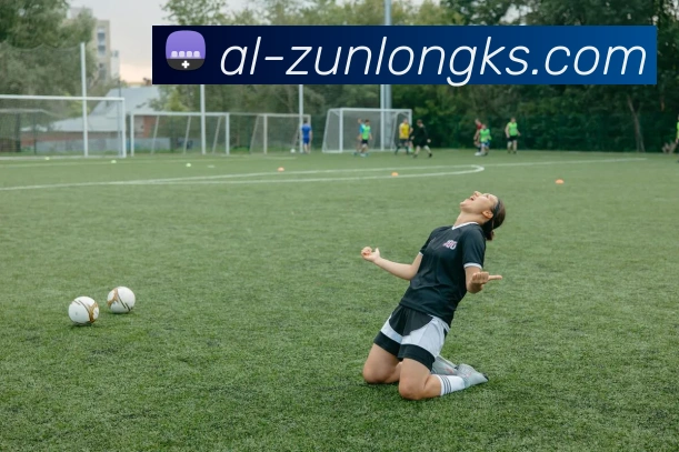 尊龙凯时官网平台生态图